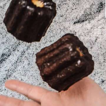 Iscaketory - photo 0