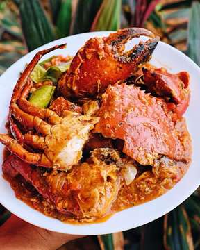 Kepiting Setan - photo 12