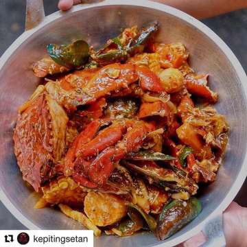 Kepiting Setan - photo 9