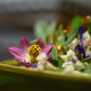 One of the best meals I’ve had is at Restaurant Locavore. It’s all about local produce and humble ingredients. Go local or go home. No need for luxury ingredients whatsoever. What a meal!!!
.
.
.
.
Edible flowers, Kecombrang Emulsion, Cricket Oil. #palatism_locavore #golocalorgohome #food #foodie #foodbeast #foodiegram #feedfeed #yum #nomnom #instagood #instafood #buzzfeast #bhgfood #foodgawker #thekitchn #forkfeed #foodporn #foodstagram #foodgasm #foodphotography #beautifulcuisines #foodshare #onthetable #gastronogram #eeeeeats #palatismbali