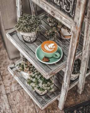 I must get up, my coffee needs me ☕️
.
.
.
.
.
#coffeewithme #indocoffeegram #cafeteller #cafeinecouture #coffeeshopcorners #coffeeshopvibes #mbakfotokopi #liveoutloud #masfotokopi #cafehopper #coffeedaily #cafehopping #coffeeshop #coffeelover #essentials #manmakecoffee #kanekin #instadaily #instagood #jktsociety #jakarta #happyboringlife